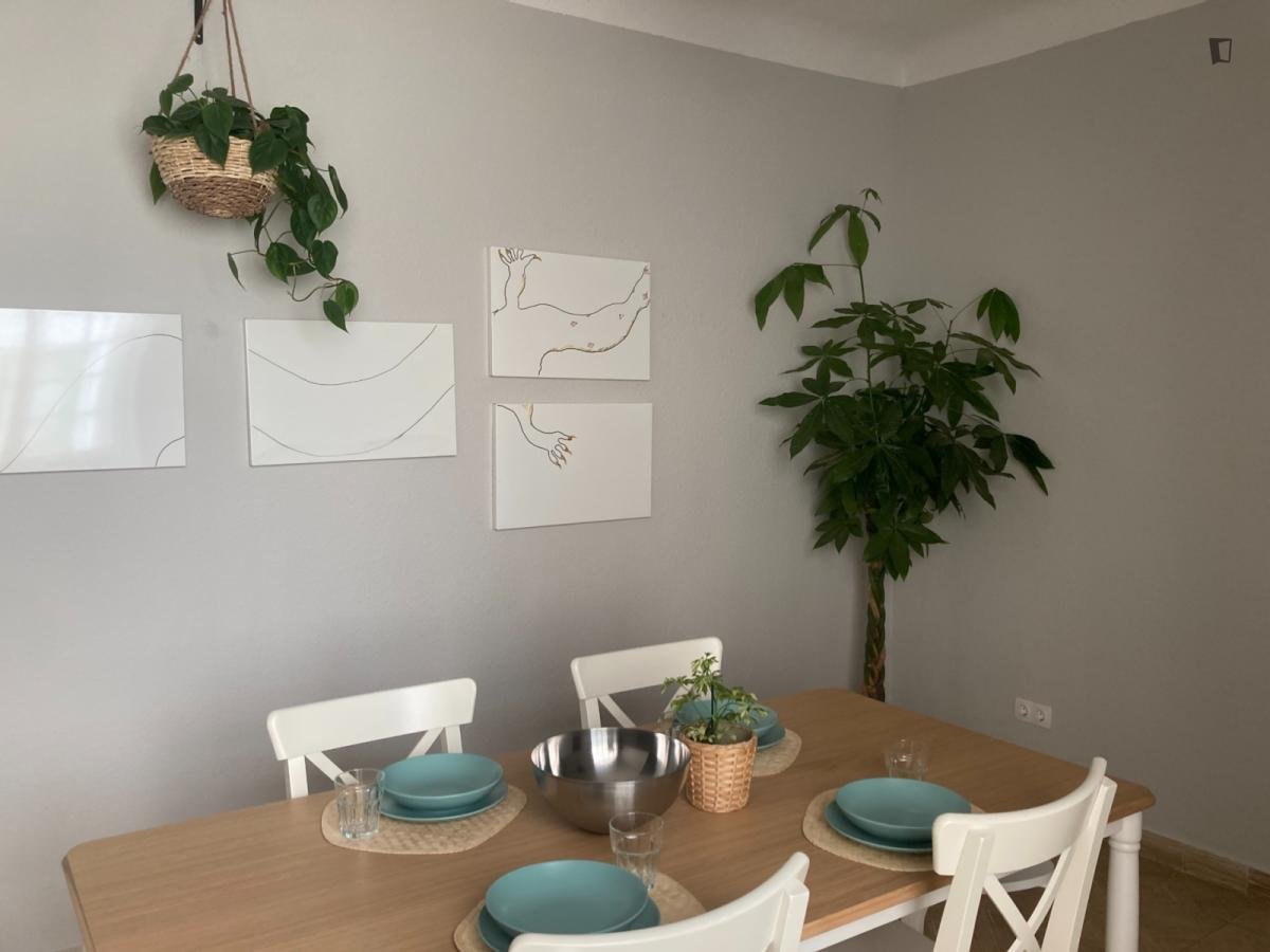 Habitació de lloguer, Alacant