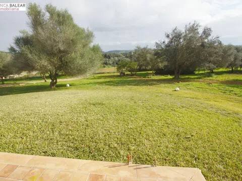 Pis de 300 m² a Costitx