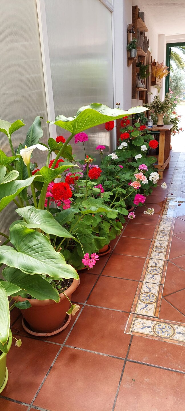 Piso de 50 m² en Talavera de la Reina