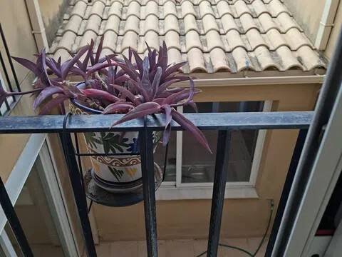 Piso de 197 m² en Valencia