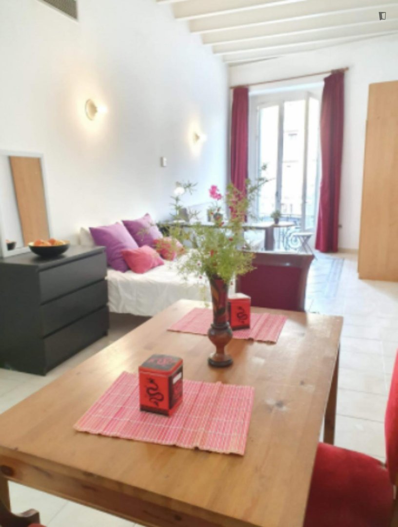Pis de 27 m² a Barcelona