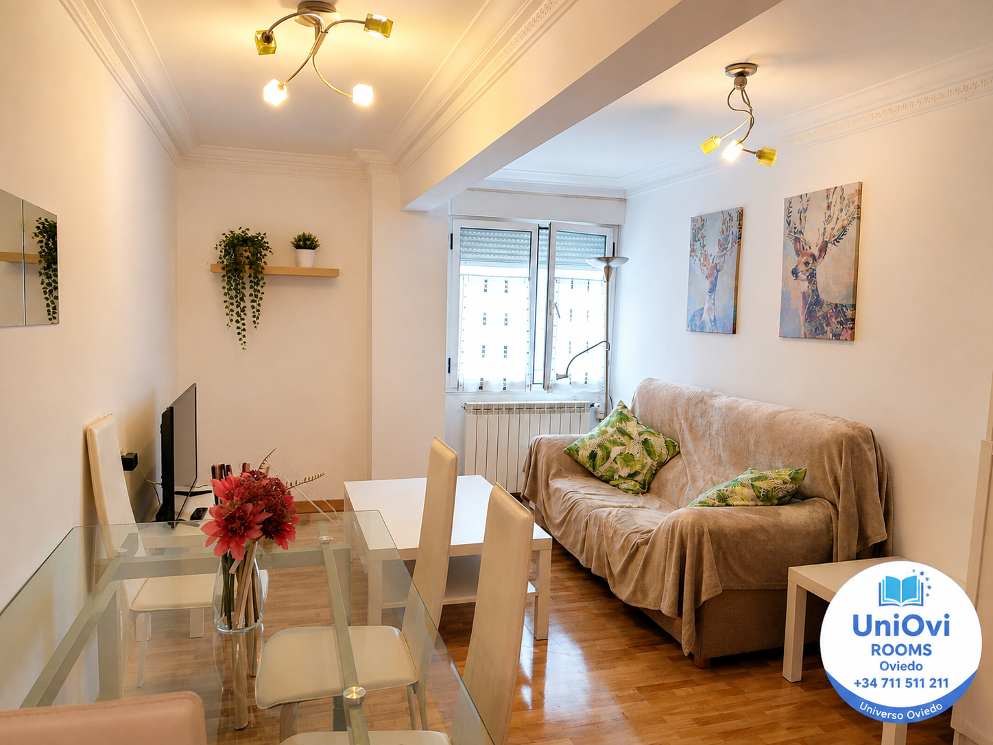 Habitació de lloguer, Oviedo