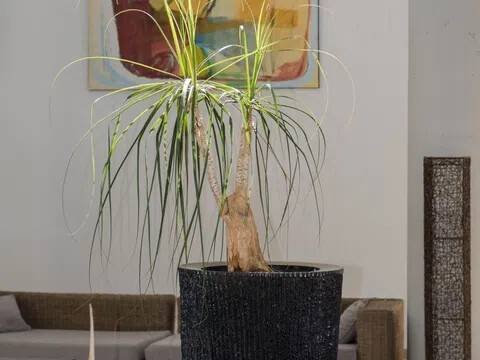 Piso de 54 m² en Punta Umbría