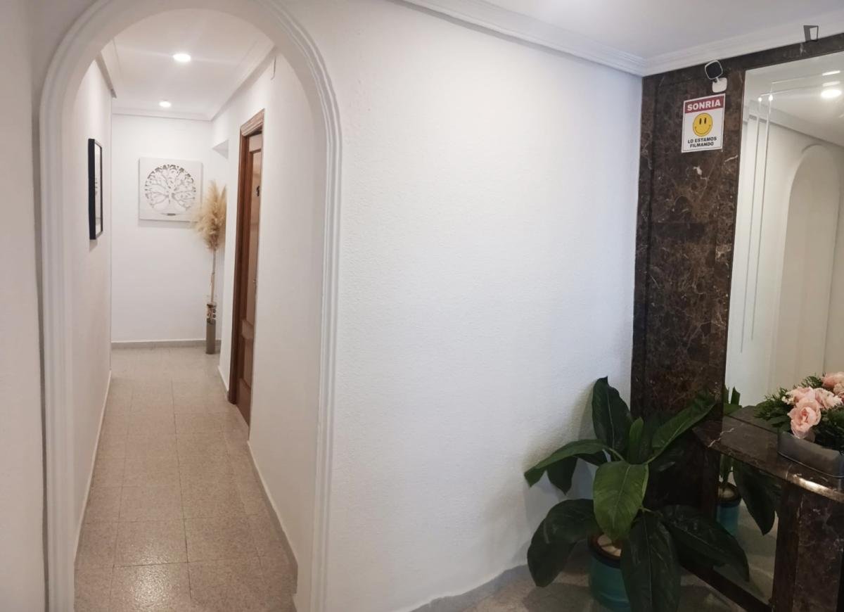 Stanza in affitto, Alacant / Alicante