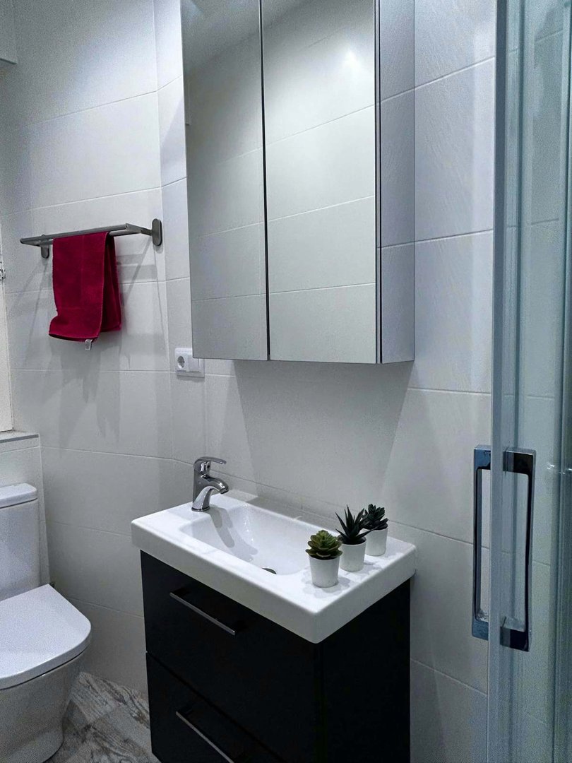 Habitació de lloguer, Madrid
