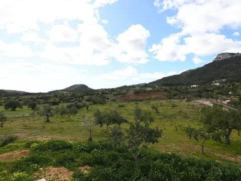Pis de 310 m² a Felanitx
