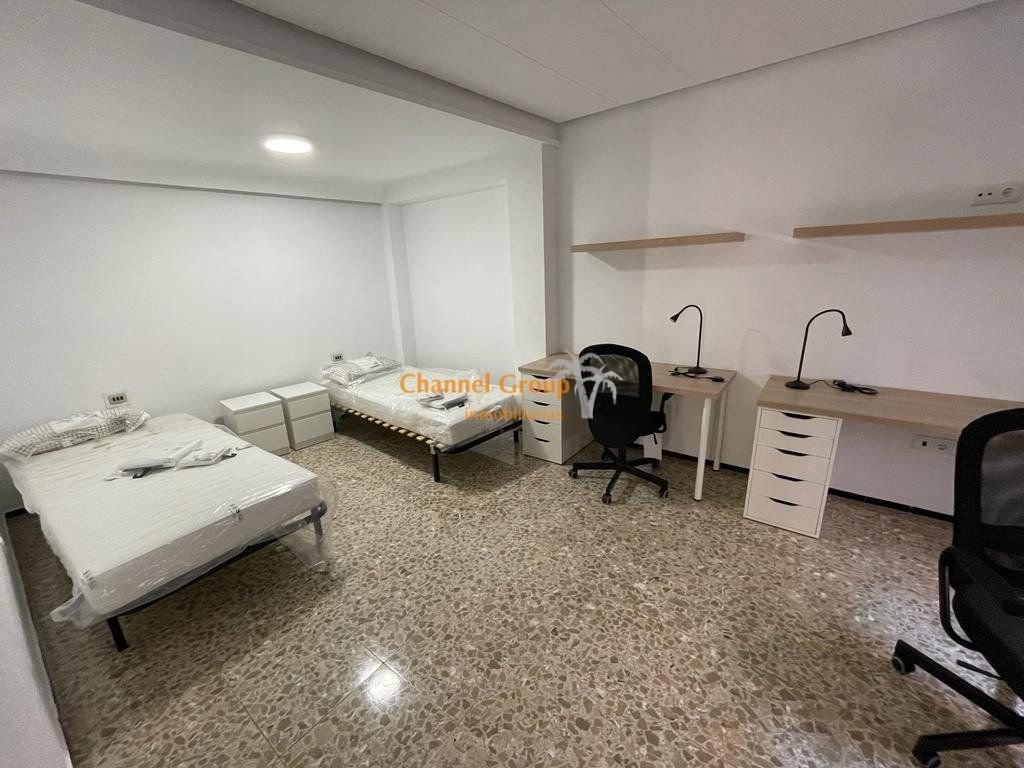 Habitació de lloguer, Elx