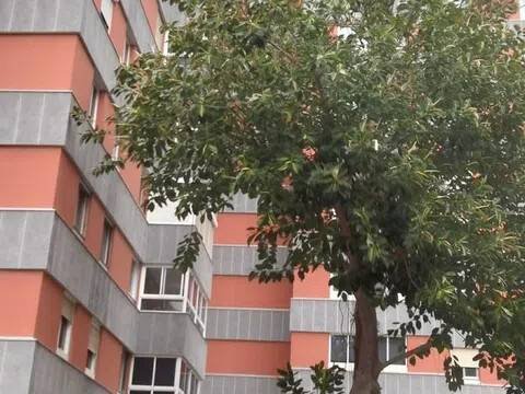 Wohnung 142 m² in Las Palmas de Gran Canaria