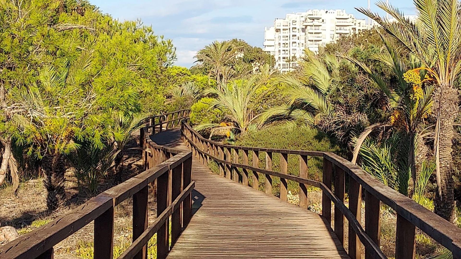 Piso de 60 m² en Guardamar del Segura