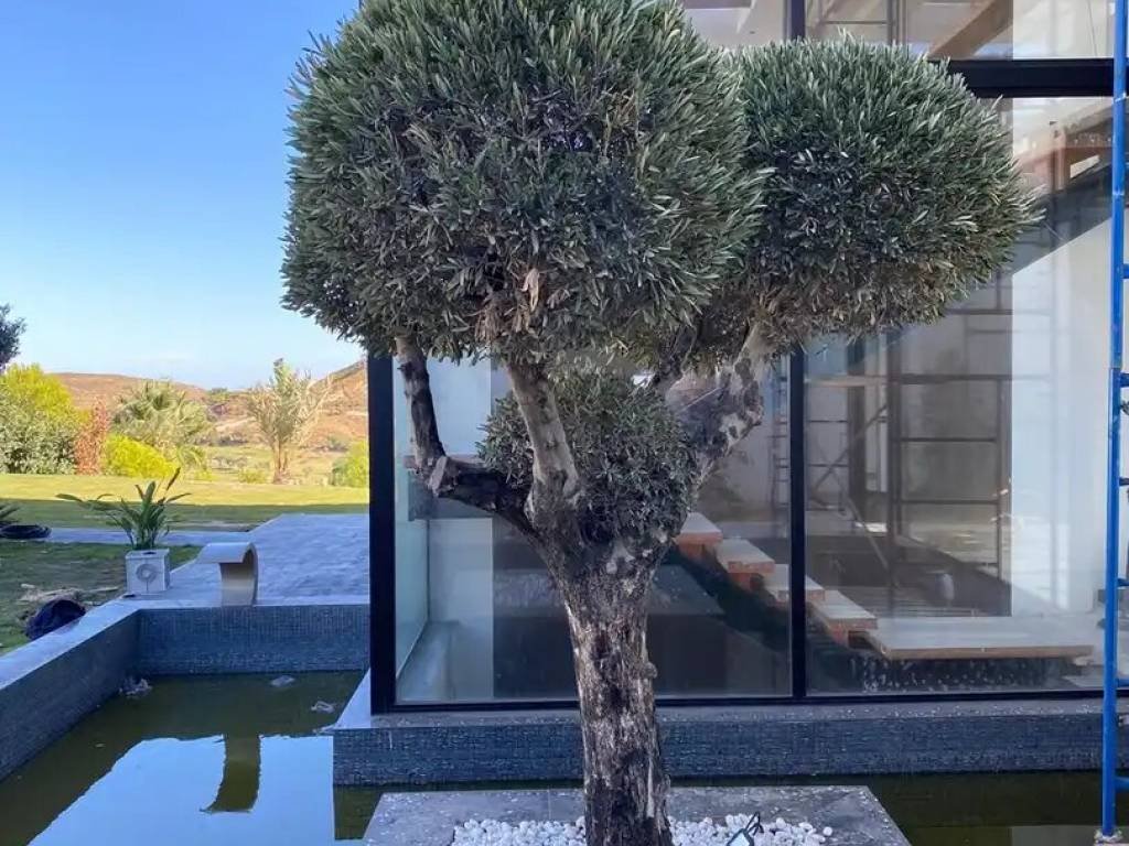 Casa de 1000 m² en Benahavís