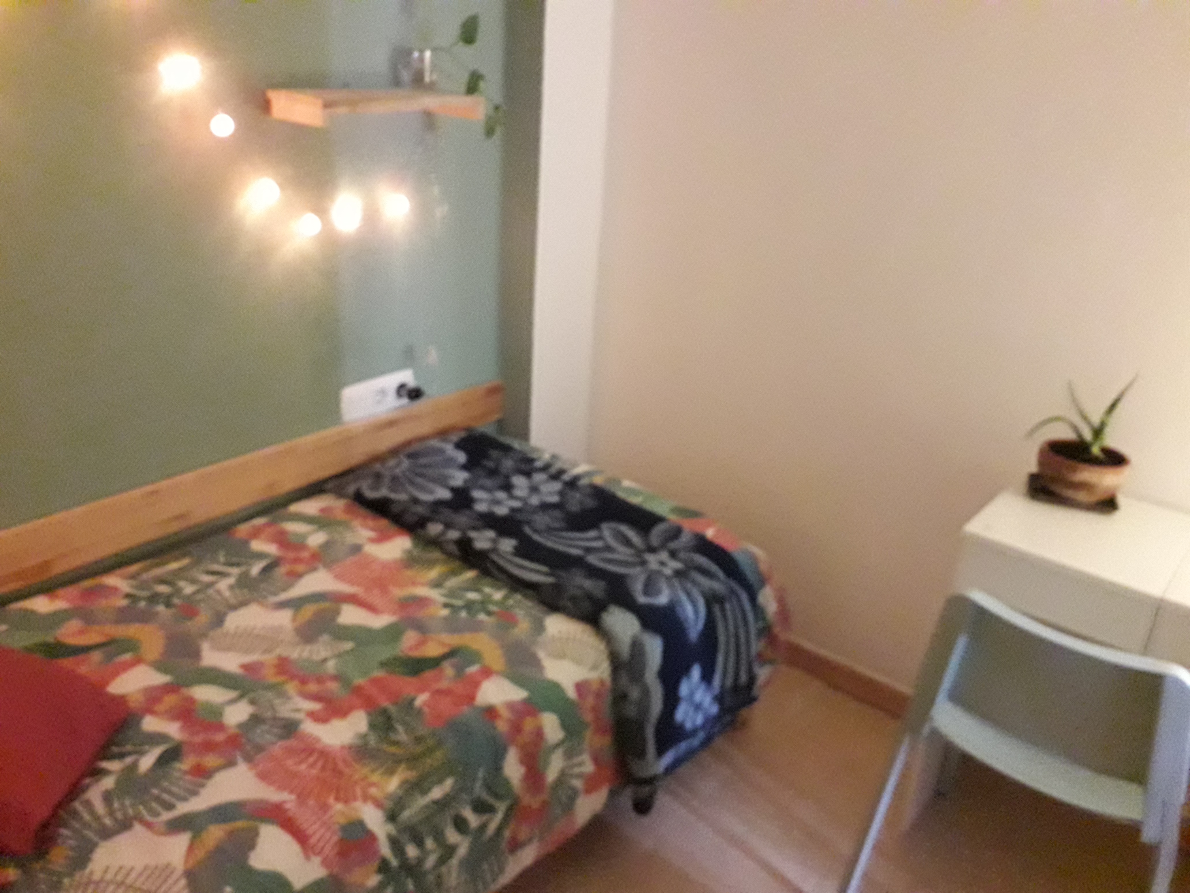 Habitació de lloguer, Palma