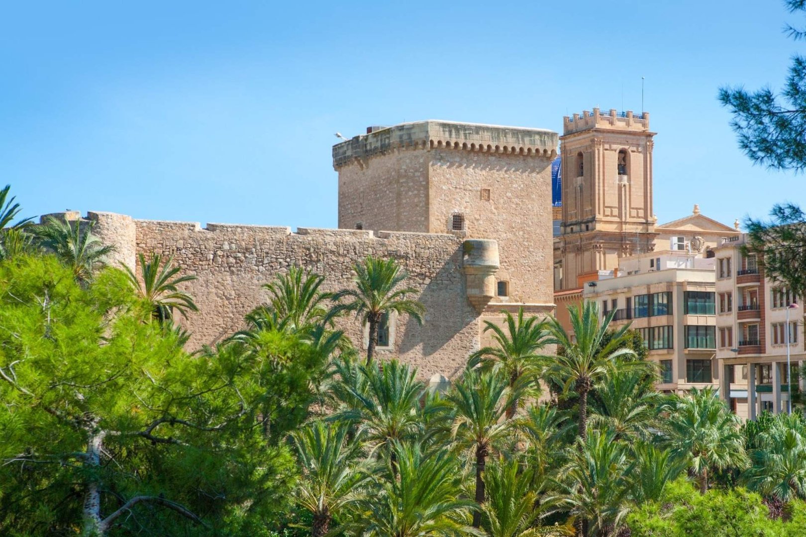 Chambre 60 m², Elx / Elche