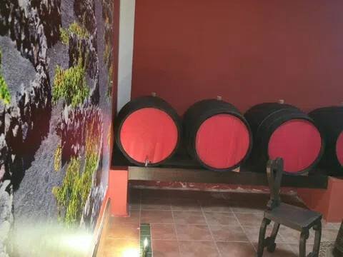 Casa de 333 m² en Haría