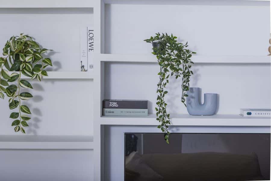 Stanza in affitto, Valencia