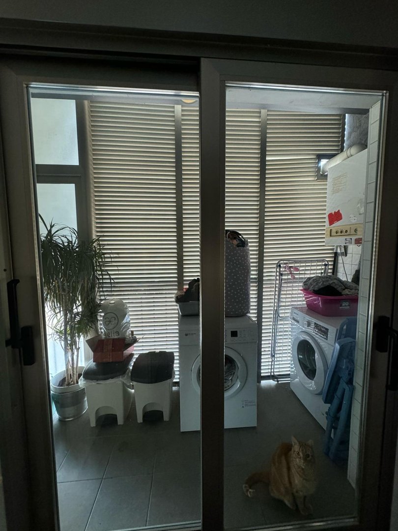 Wohnung 106 m² in Elx / Elche
