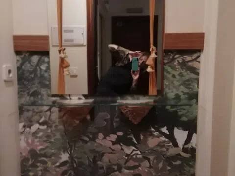 Piso de 50 m² en Pontevedra