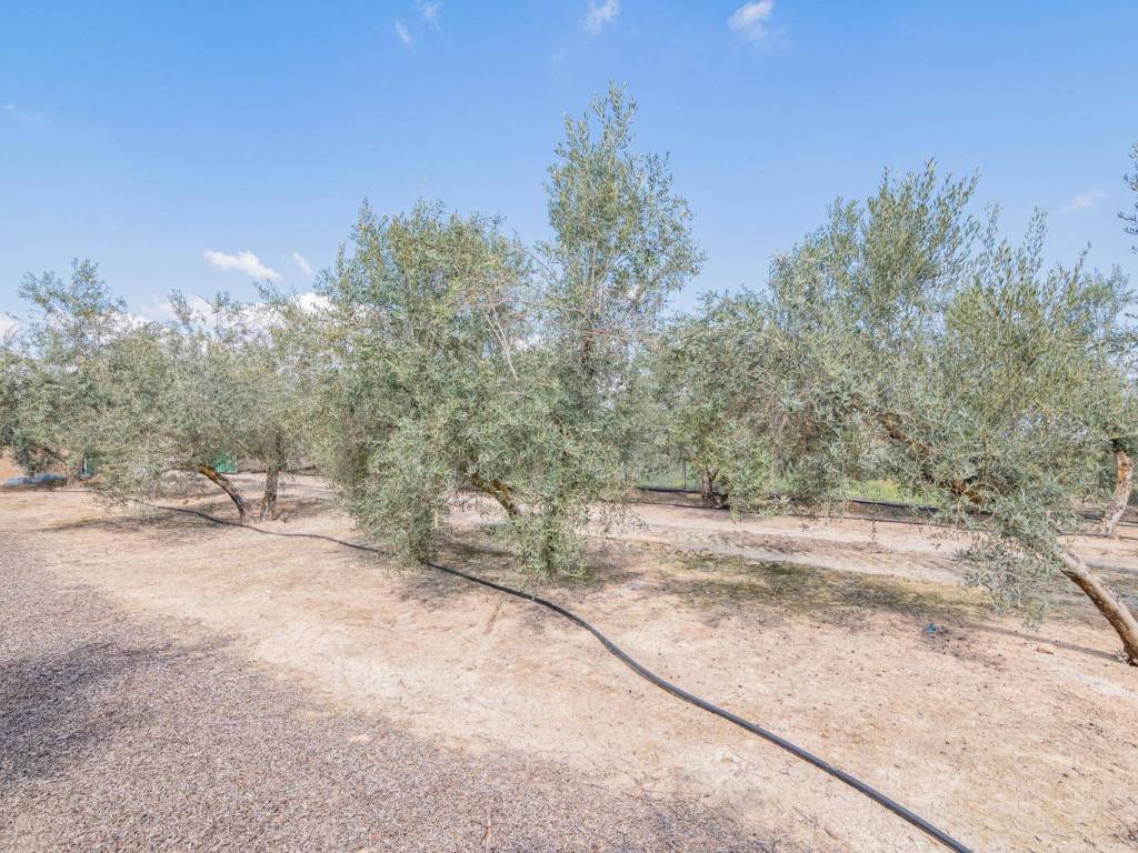 Piso de 140 m² en Chauchina