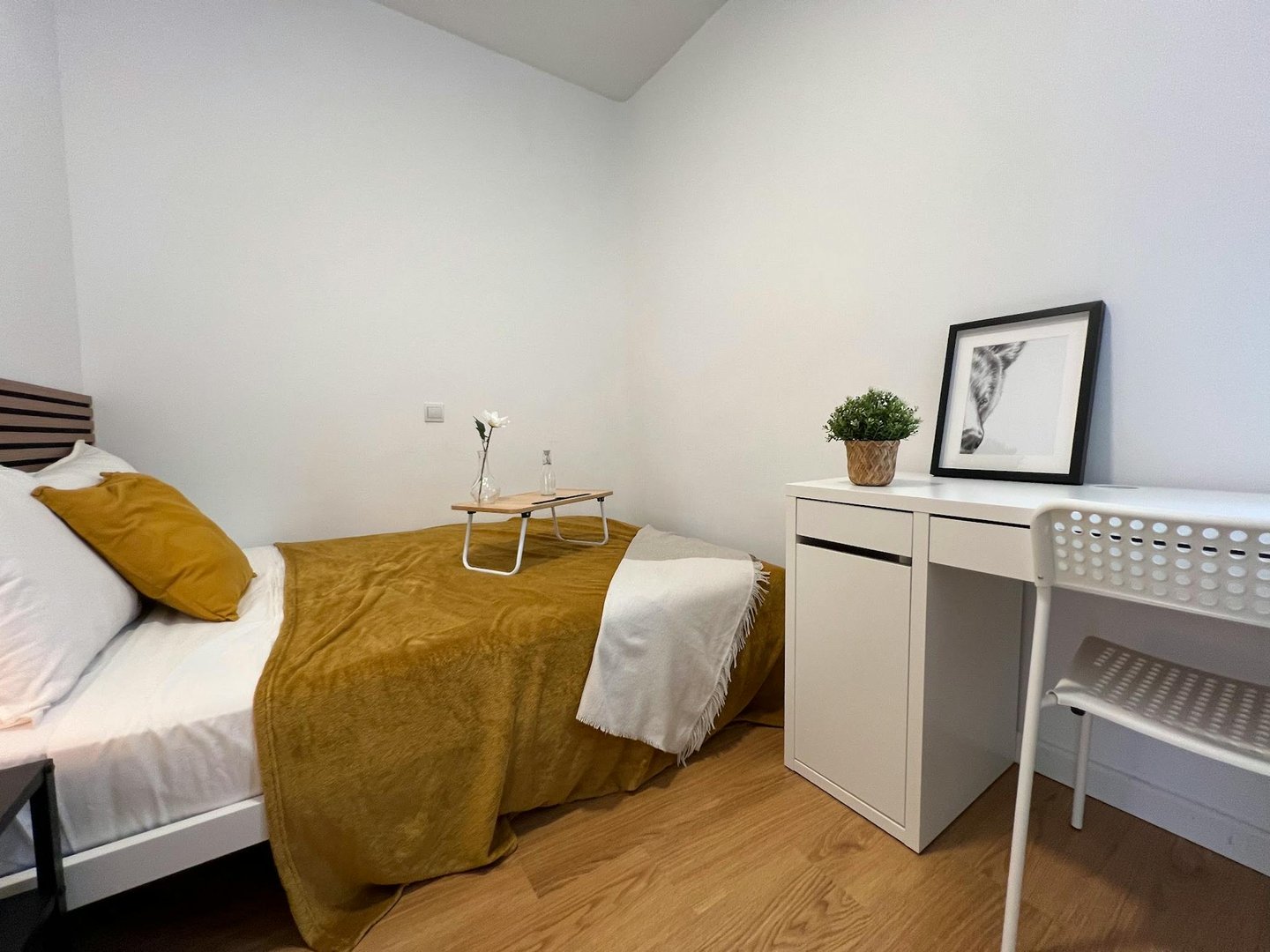 Habitació de lloguer, Madrid