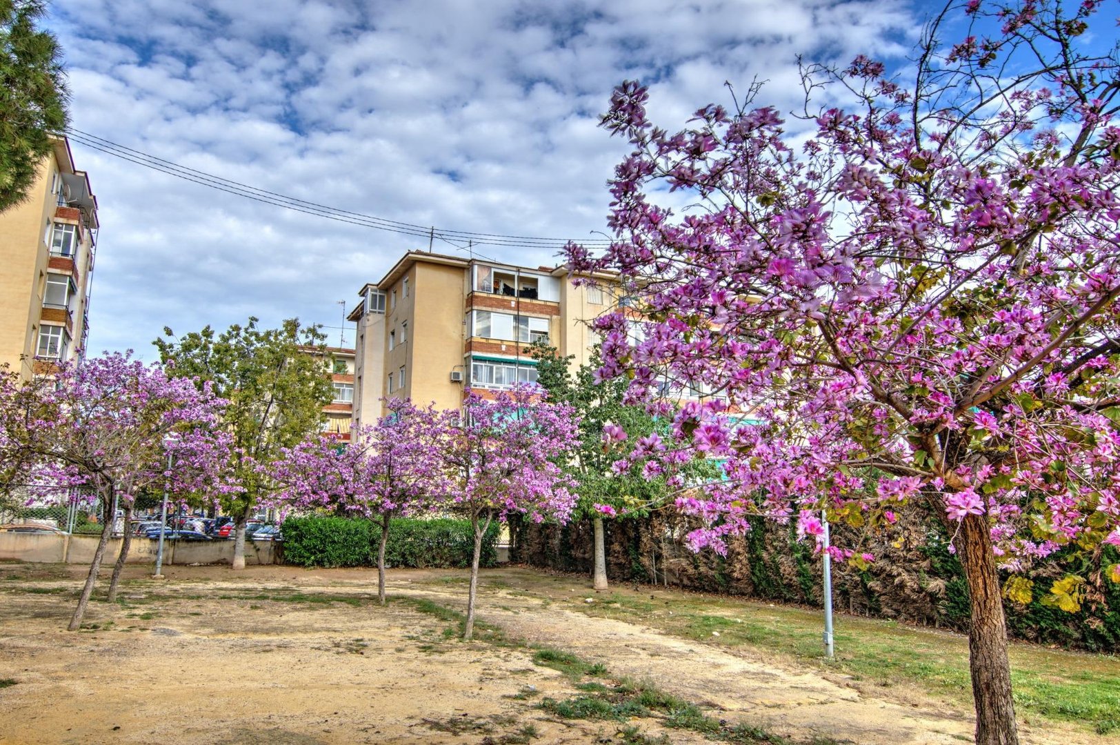 Habitación en alquiler, Alicante