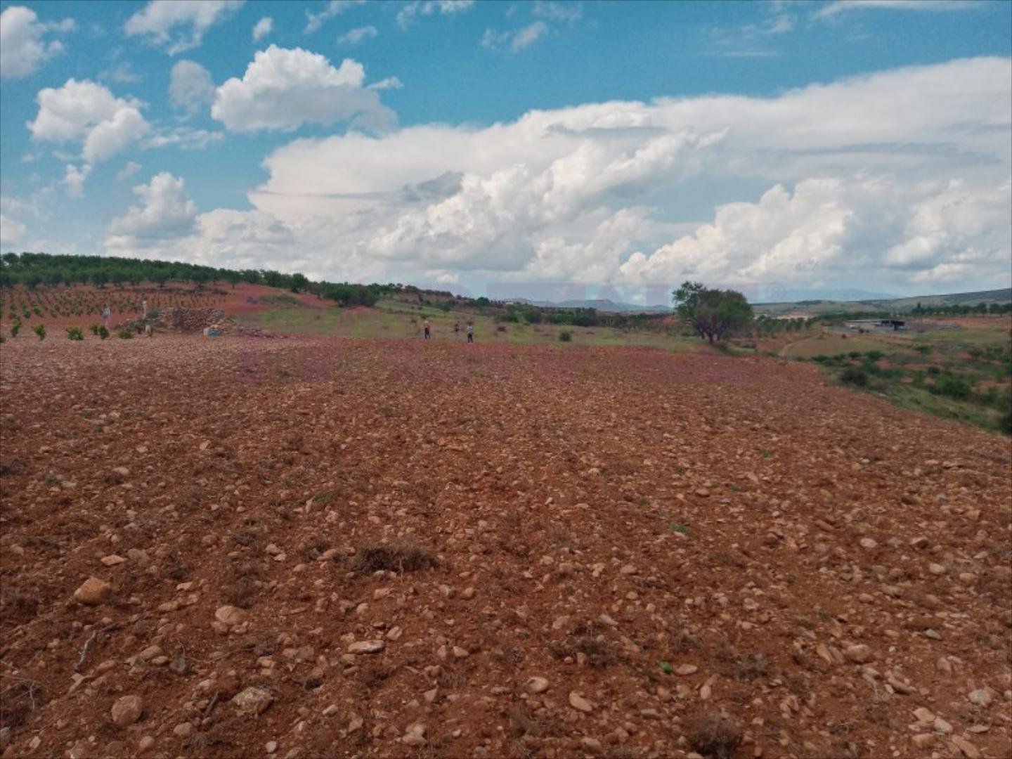 Квартира 6539 м² в Clarés de Ribota