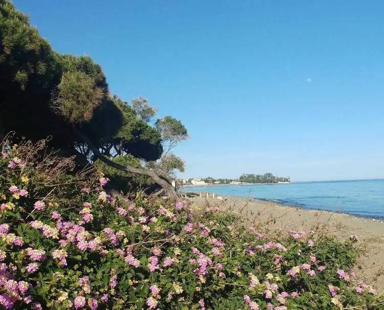 Casa de 180 m² en Estepona