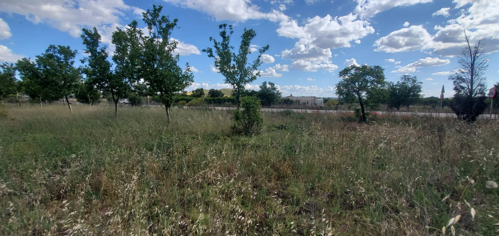 Pis de 13400 m² a Bargas