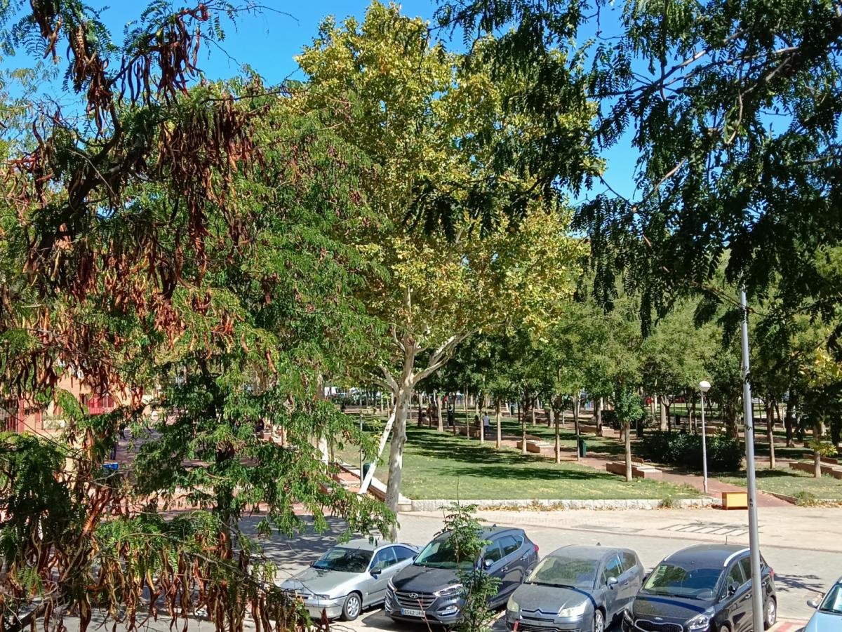 Stanza in affitto, Madrid