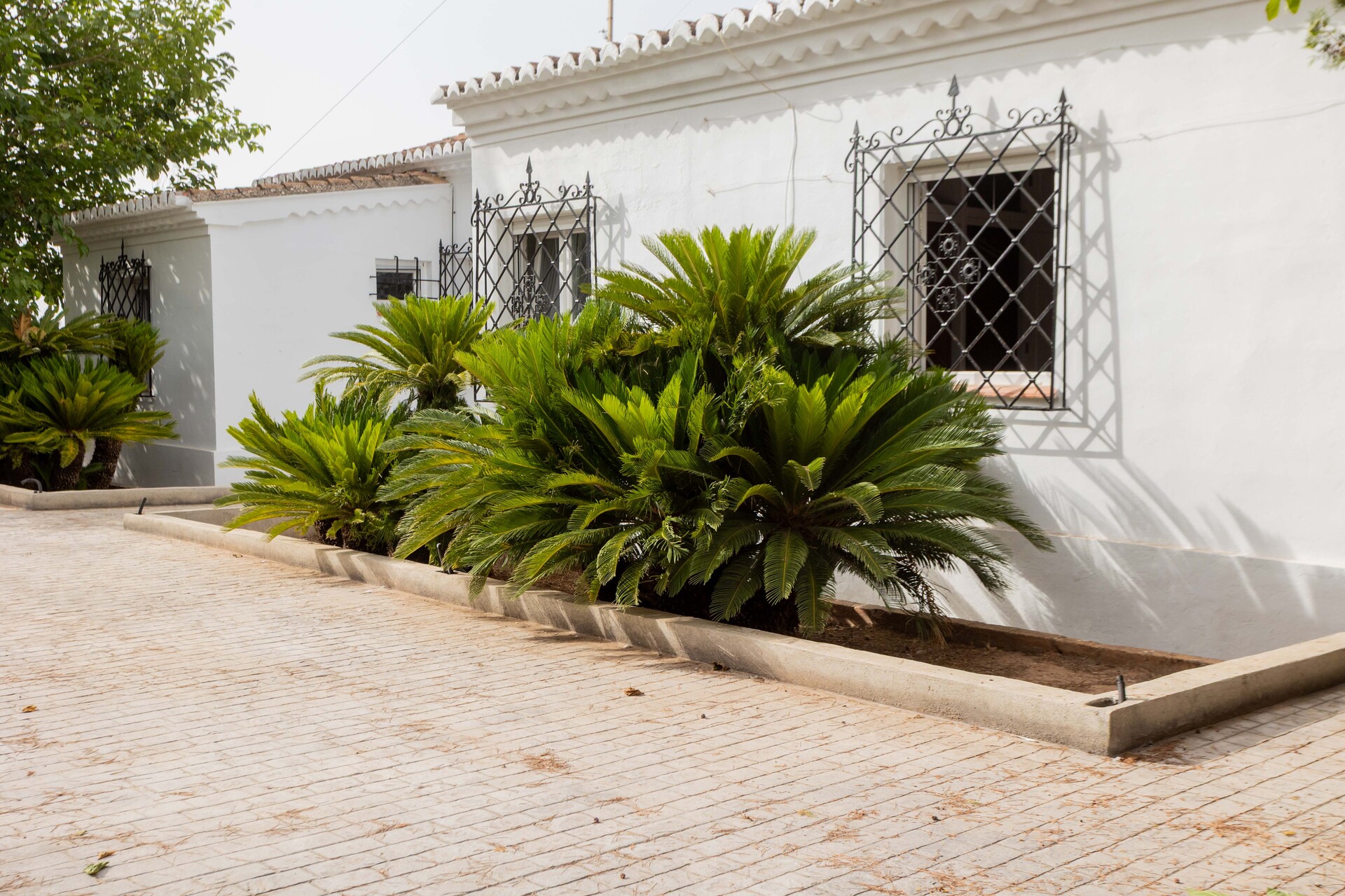 House 295 m² in Bétera