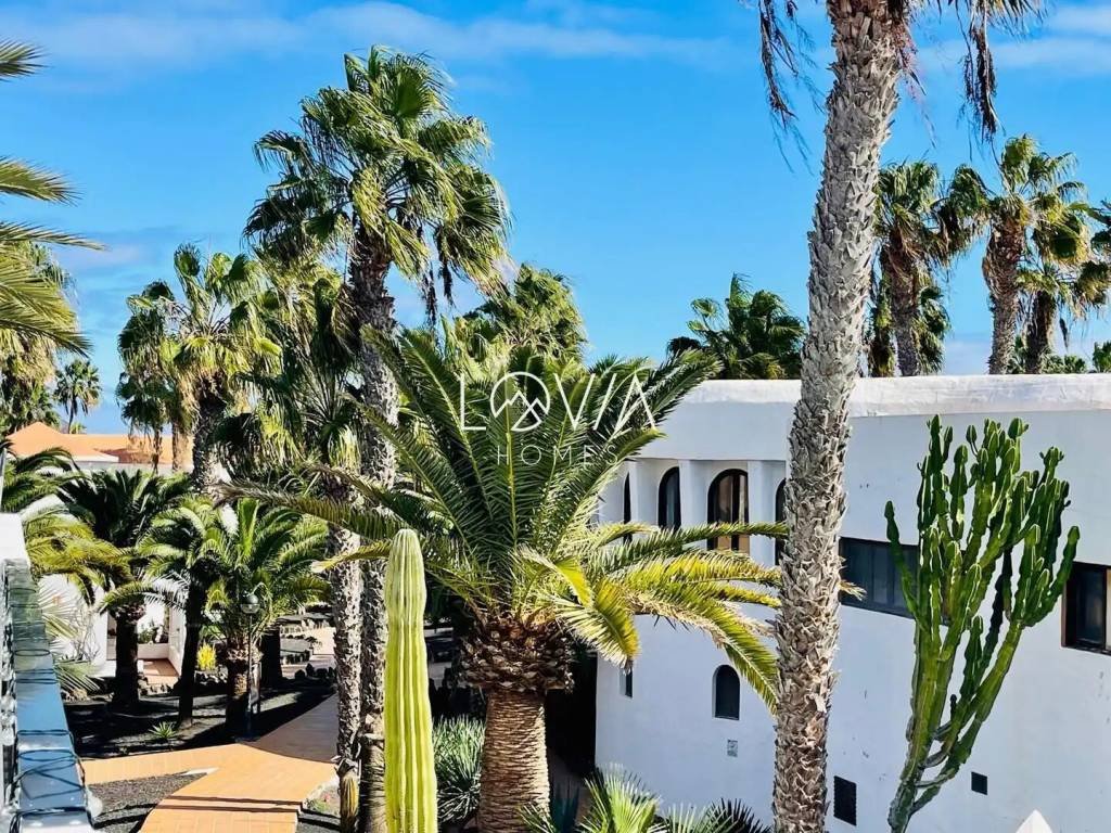 Piso de 45 m² en La Oliva