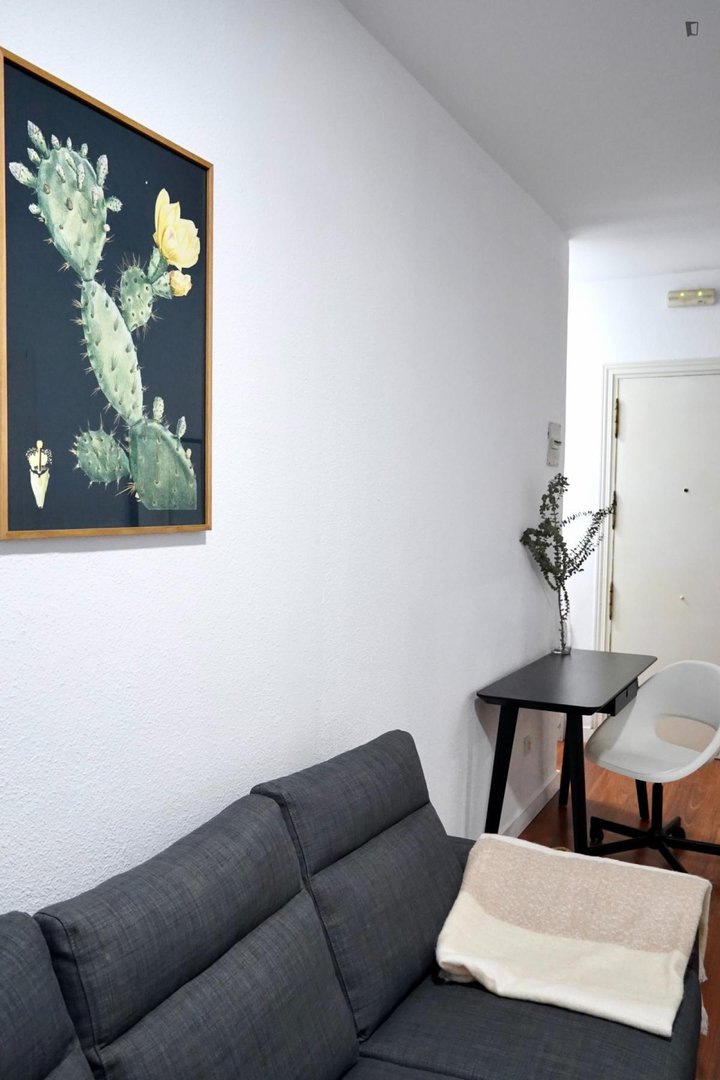 Habitació de lloguer, Madrid