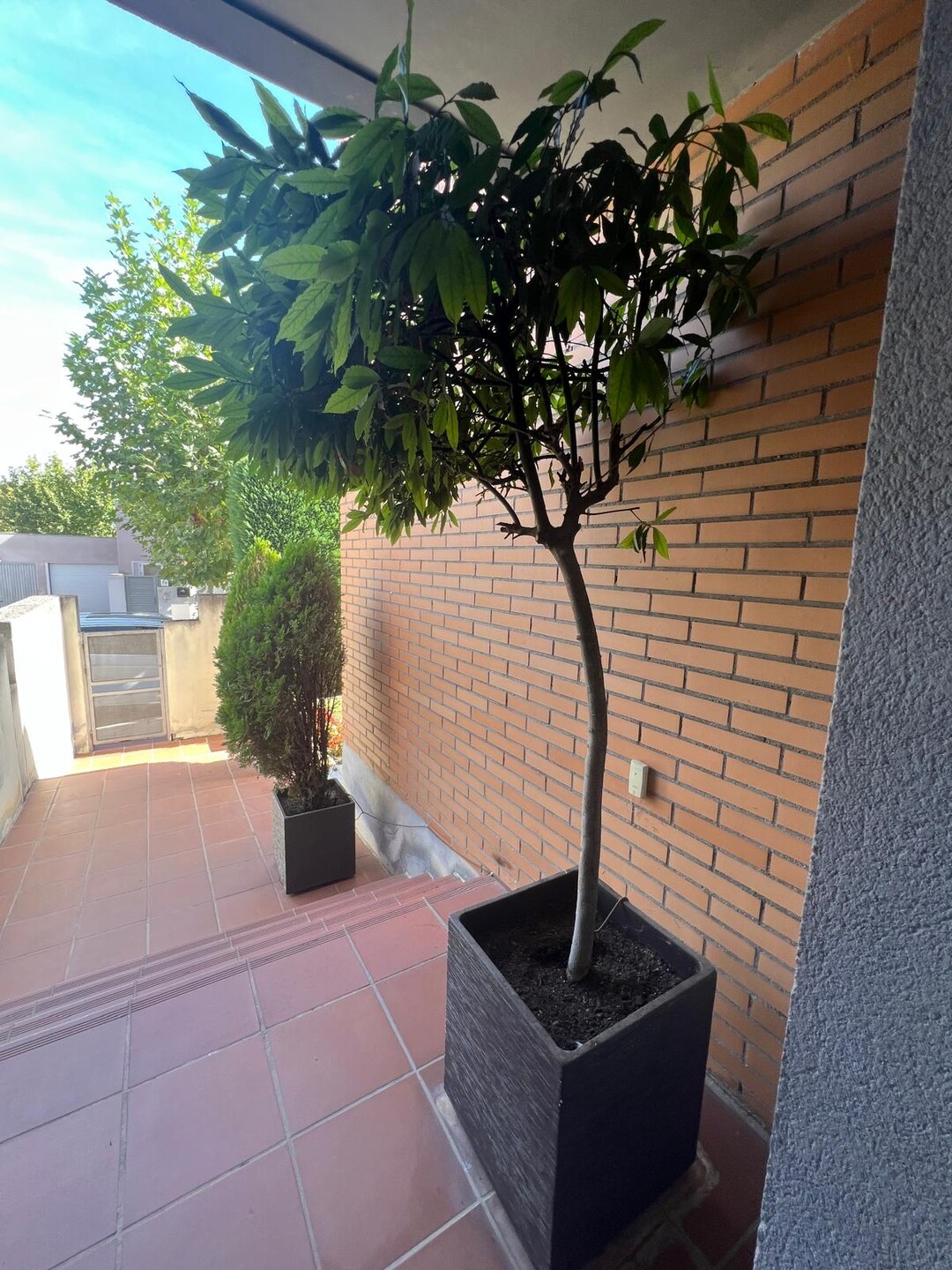 Piso de 160 m² en Bargas