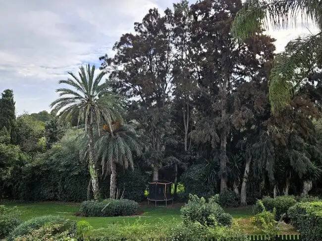 Casa de 150 m² en Callosa de Segura