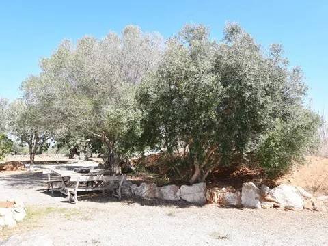 Piso de 369 m² en Santanyí