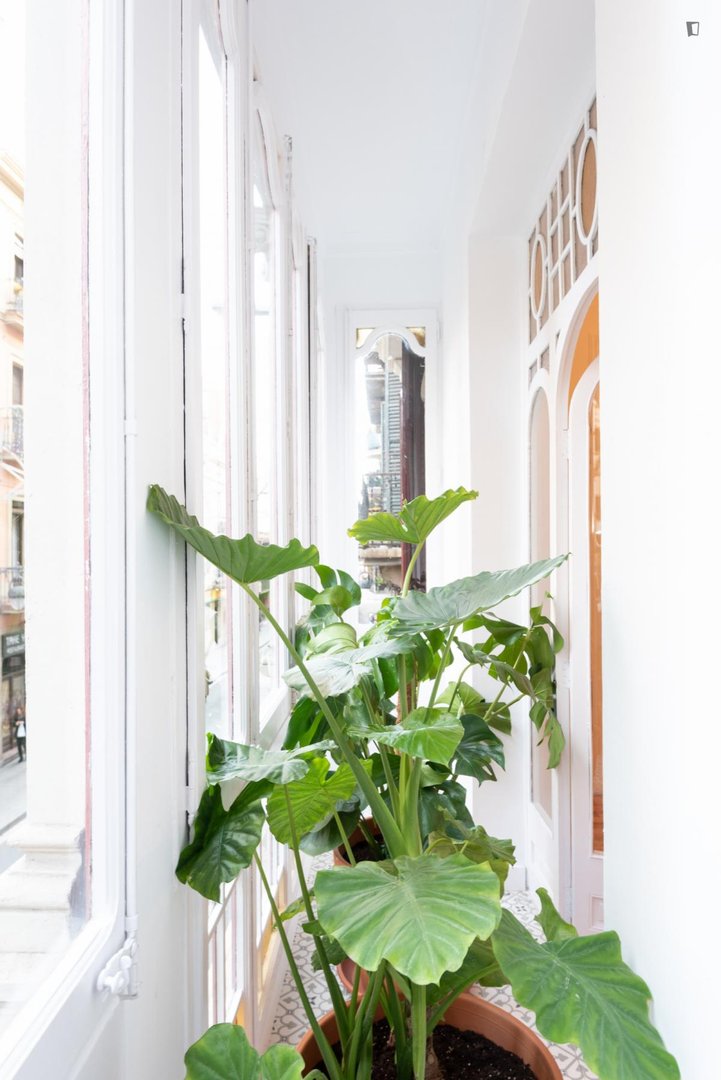 Habitación en alquiler, Barcelona