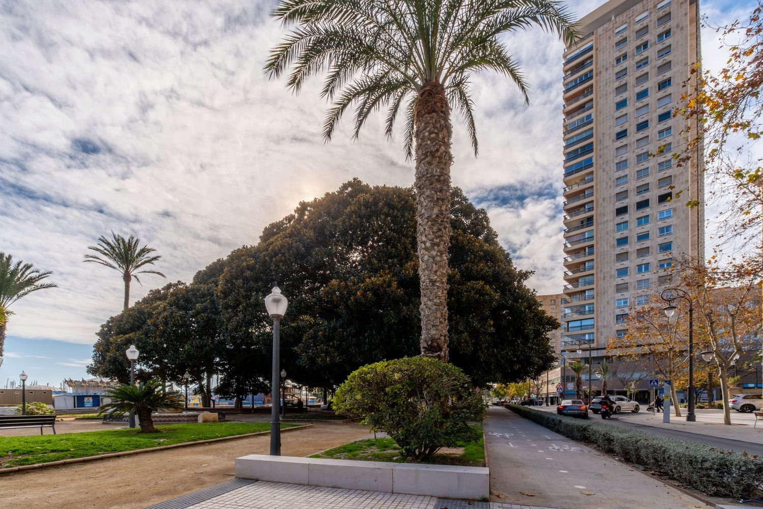 Appartement 137 m² à Alicante