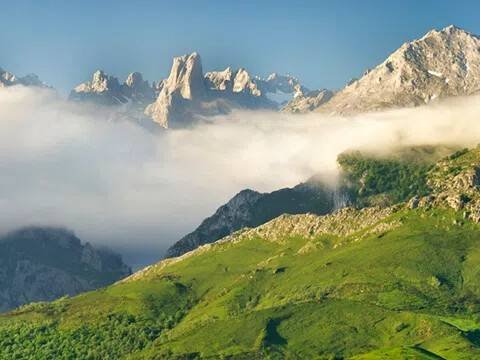 Wohnung 60 m² in Cabrales