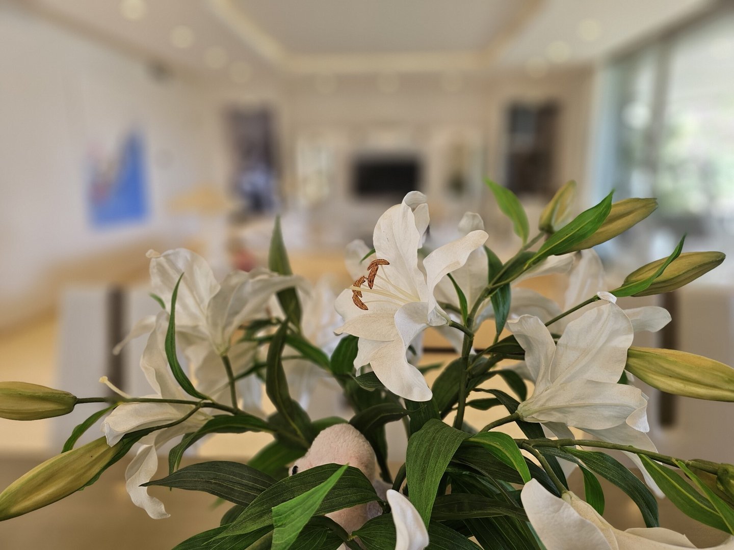 Casa 452 m² a Calvià