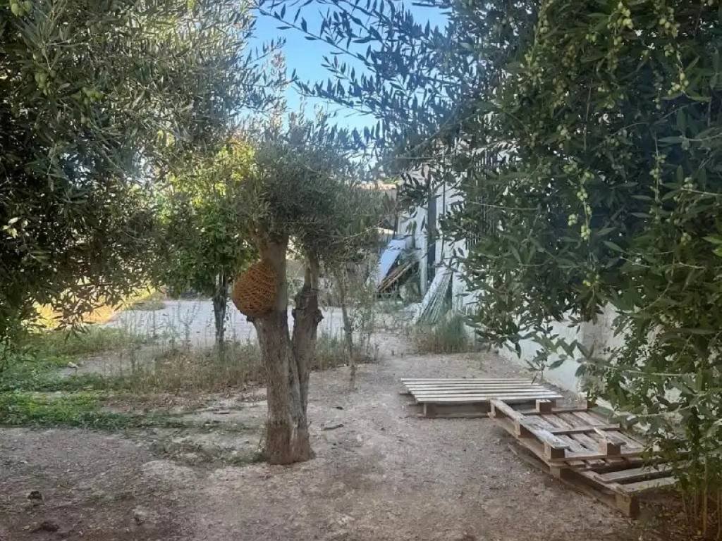 Wohnung 110 m² in Elx / Elche