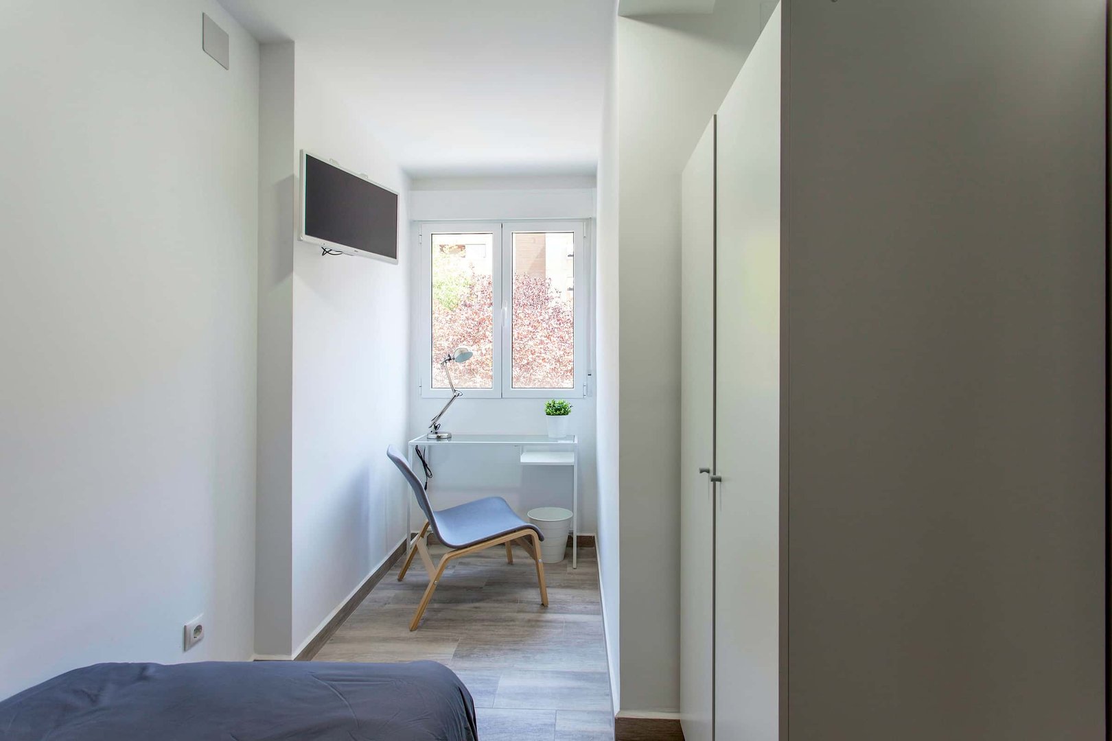 Habitació de lloguer, València