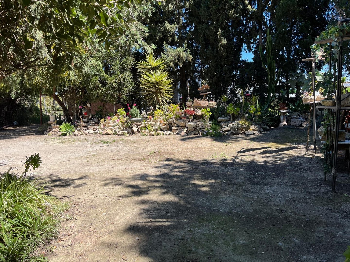 Pis de 3000 m² a Dolores