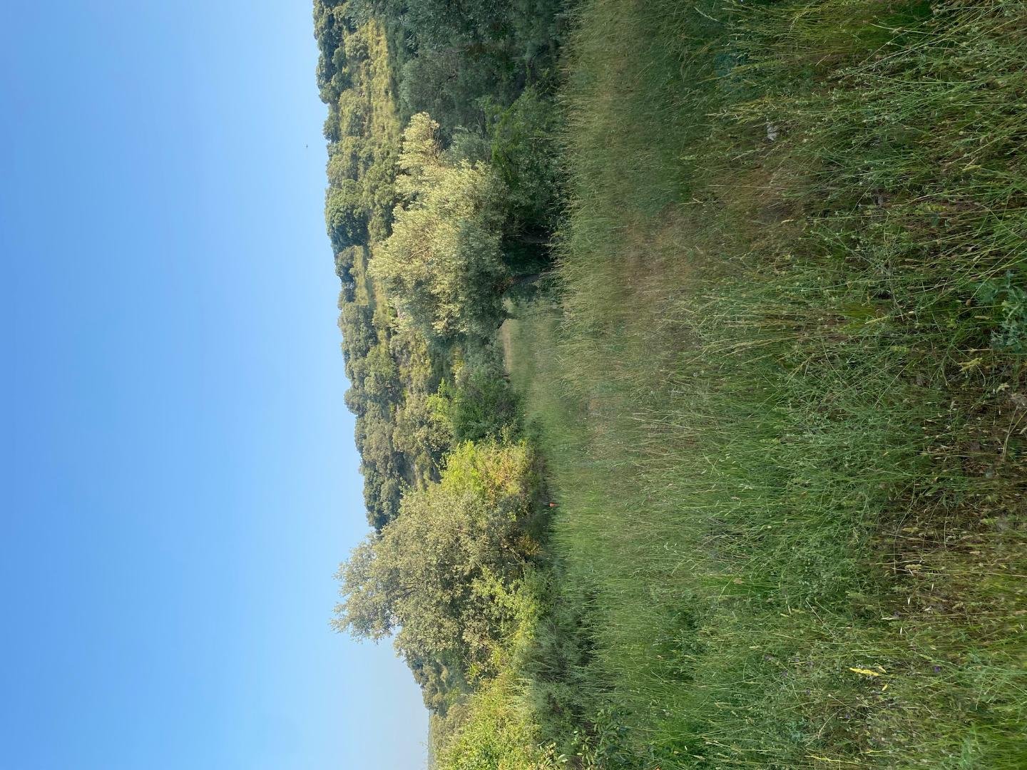 Piso en alquiler, Loranca de Tajuña
