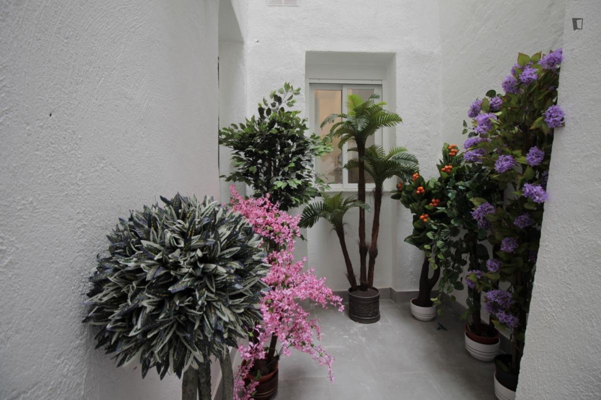 Wohnung 45 m² in Madrid