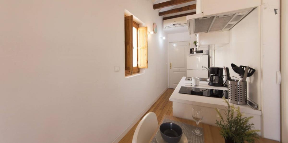 Appartamento 29 m² a Madrid