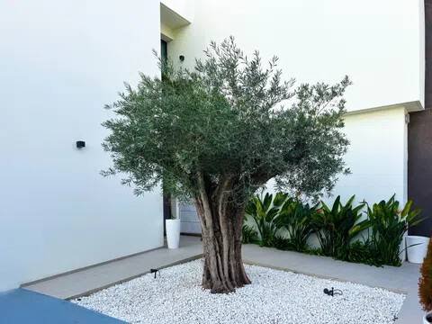 Apartamento 500 m² em Alacant / Alicante