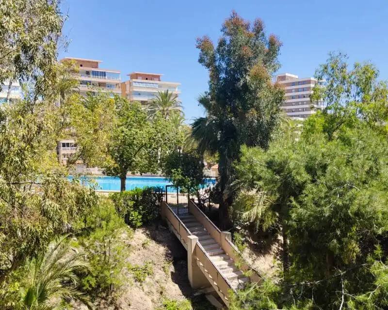 Piso en alquiler, el Campello