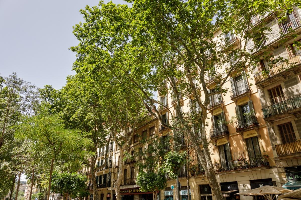 Habitación en alquiler, Barcelona