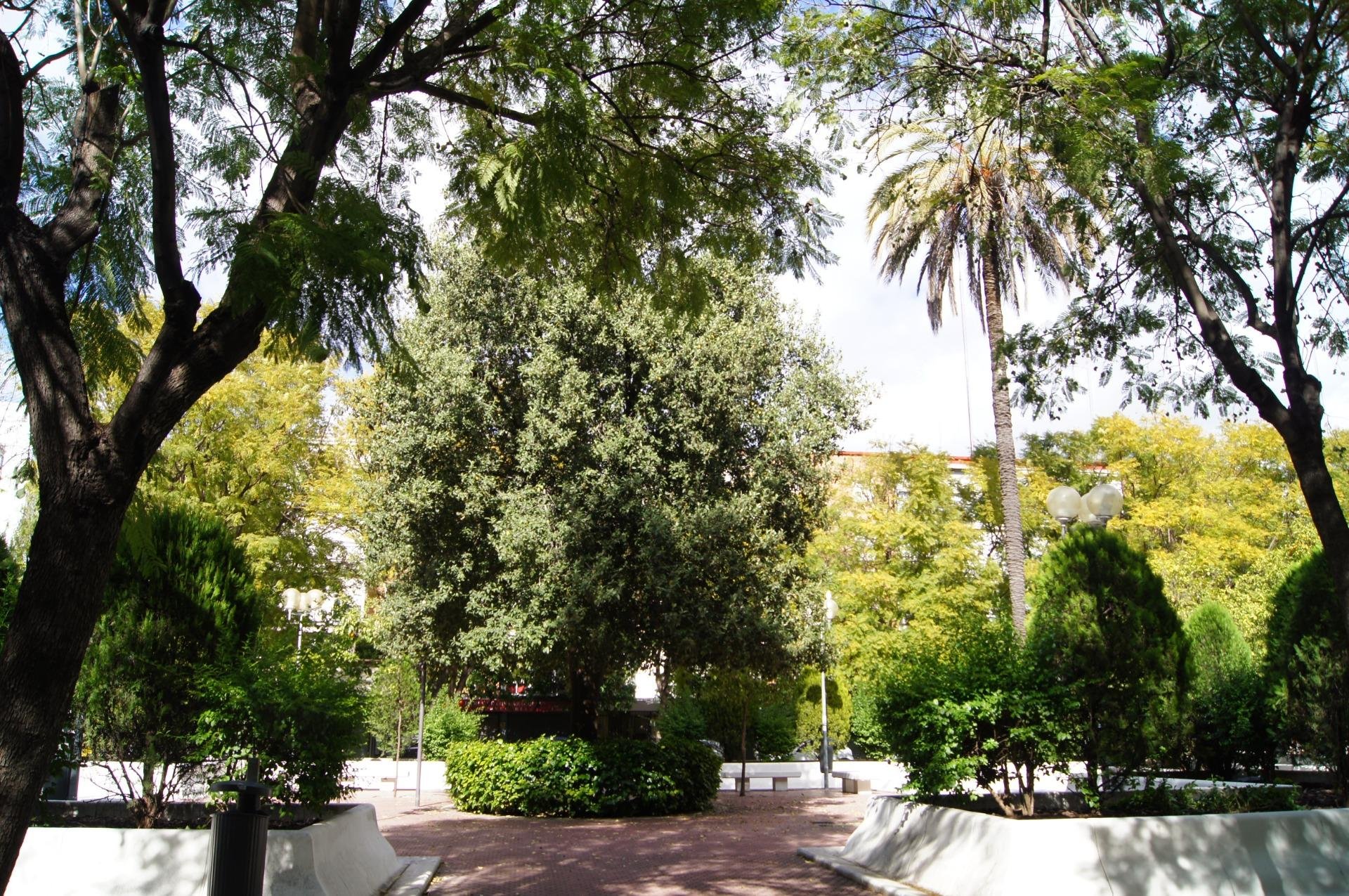 Habitación 68 m², Sevilla
