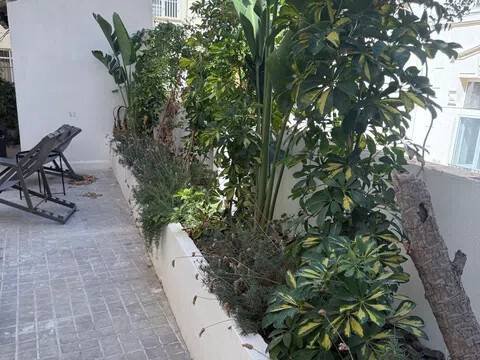 Apartamento 65 m² em València