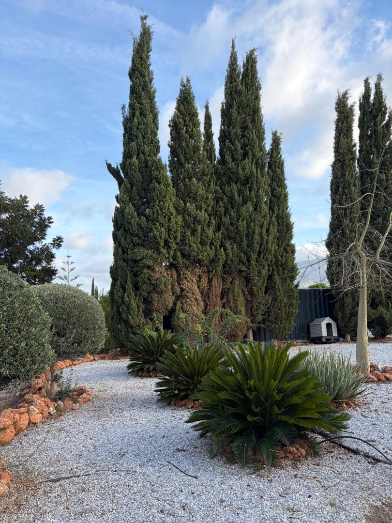 Casa 220 m² a Alhaurín de la Torre