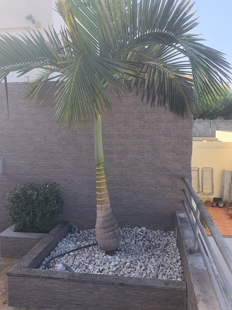 Casa de 160 m² en Adeje